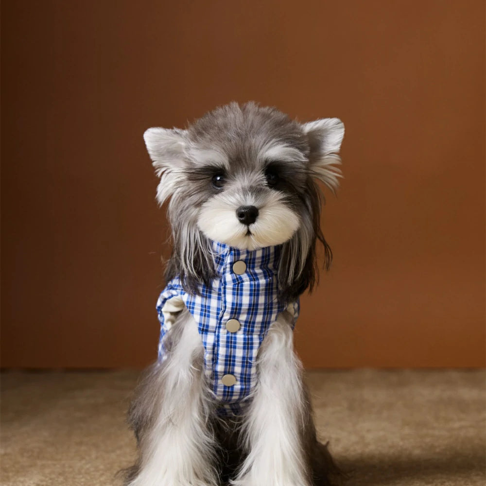 Autumn and winter dog down jacket vest