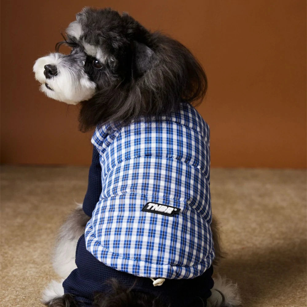 Autumn and winter dog down jacket vest