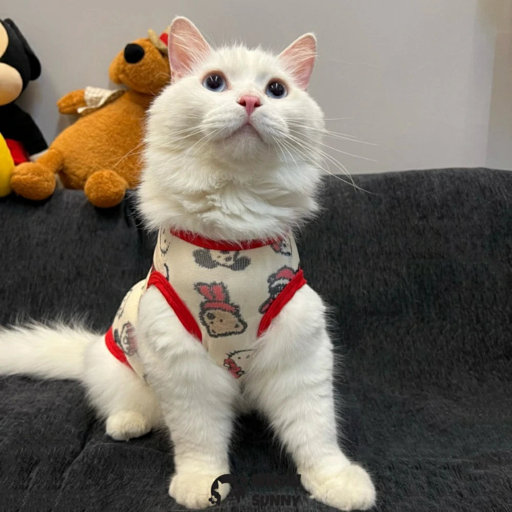 Bear pet cat clothes breathable vest anti-shedding hair