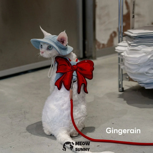 Big Bow Cat Leash Set with Hat