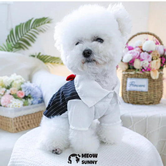 Black and white striped bow tie tuxedo dog clothes handsome gentleman suit