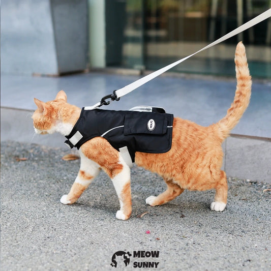 Black cat sun protection chest strap set for outdoor use