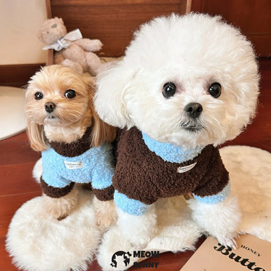 Blue cloud pattern double-sided plush pet winter warm cotton coat for small dogs.