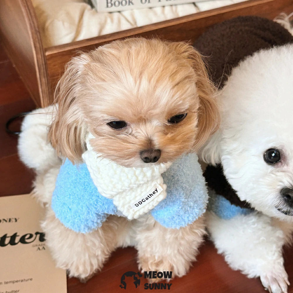 Blue cloud pattern double-sided plush pet winter warm cotton coat for small dogs.