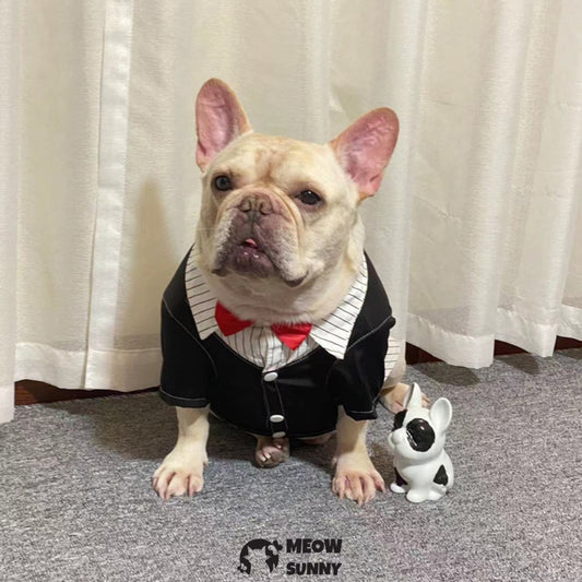 Bulldog Costume Dog Suit Formal Tuxedo with Red Bow Tie