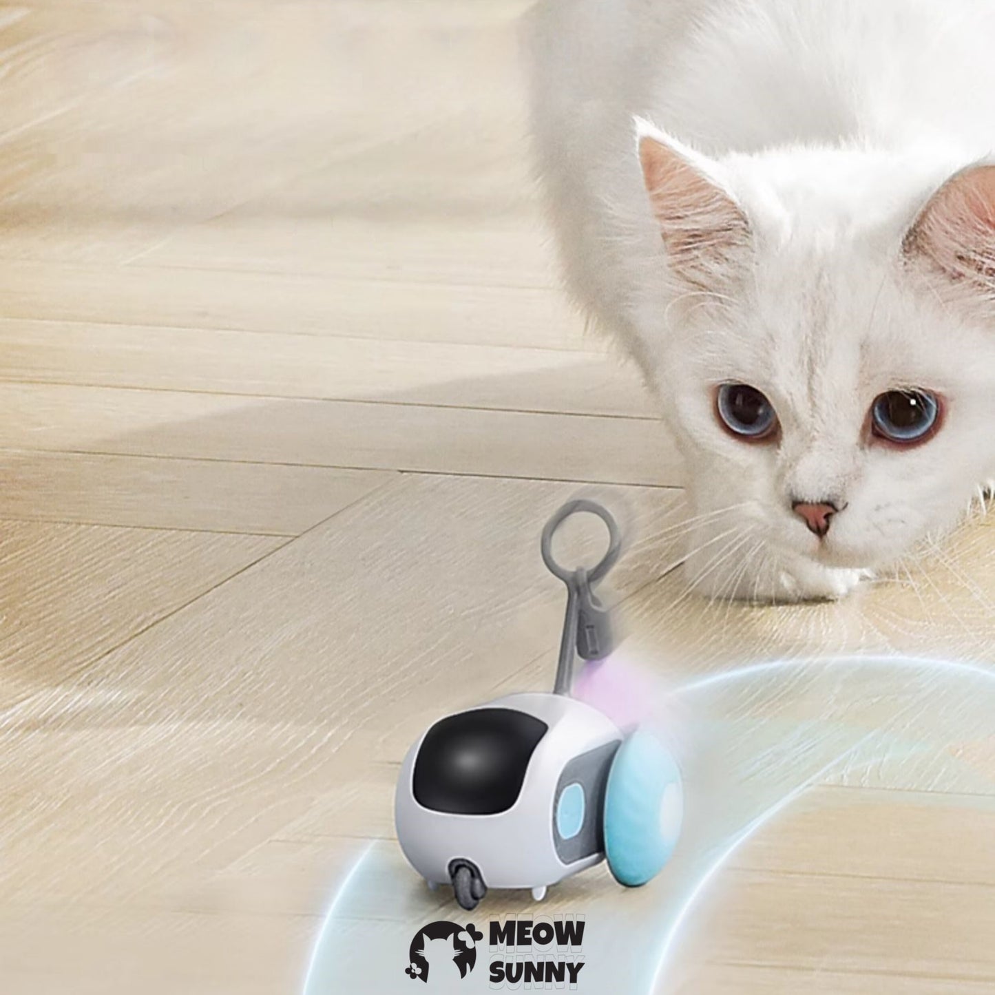 Smart remote control mini car cat toy