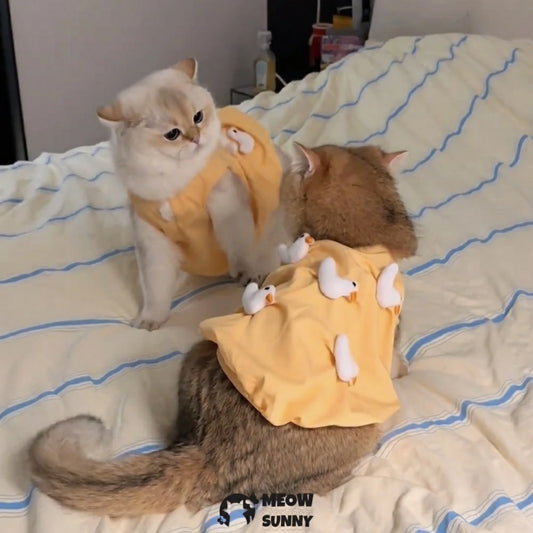 Cat Costume Duck Doll Decoration Yellow Dress