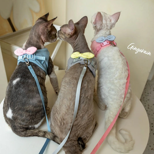 Cat Harness and Leash Set, Escape Proof Kitten Harness
