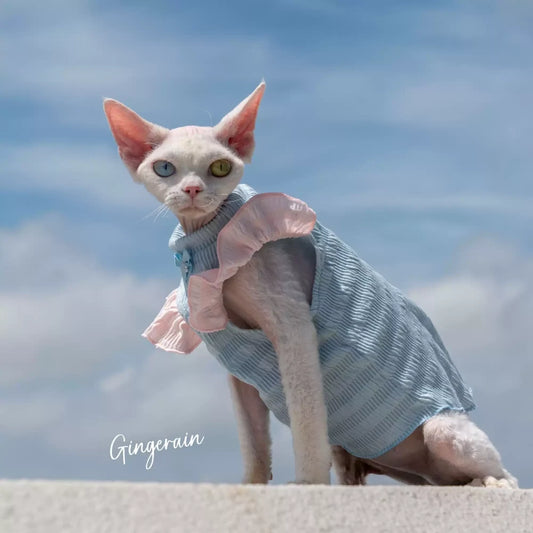 Cat Summer Thin Sleeveless Solid Color Cute Shirt