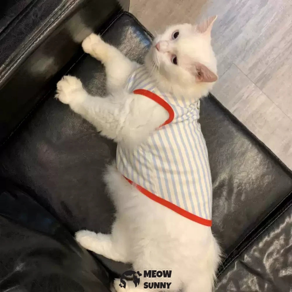 Cat clothes elastic breathable sleeveless camisole anti-shedding