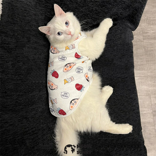 Cat clothes winter warm plus velvet cute cartoon anti-shedding sleeveless vest