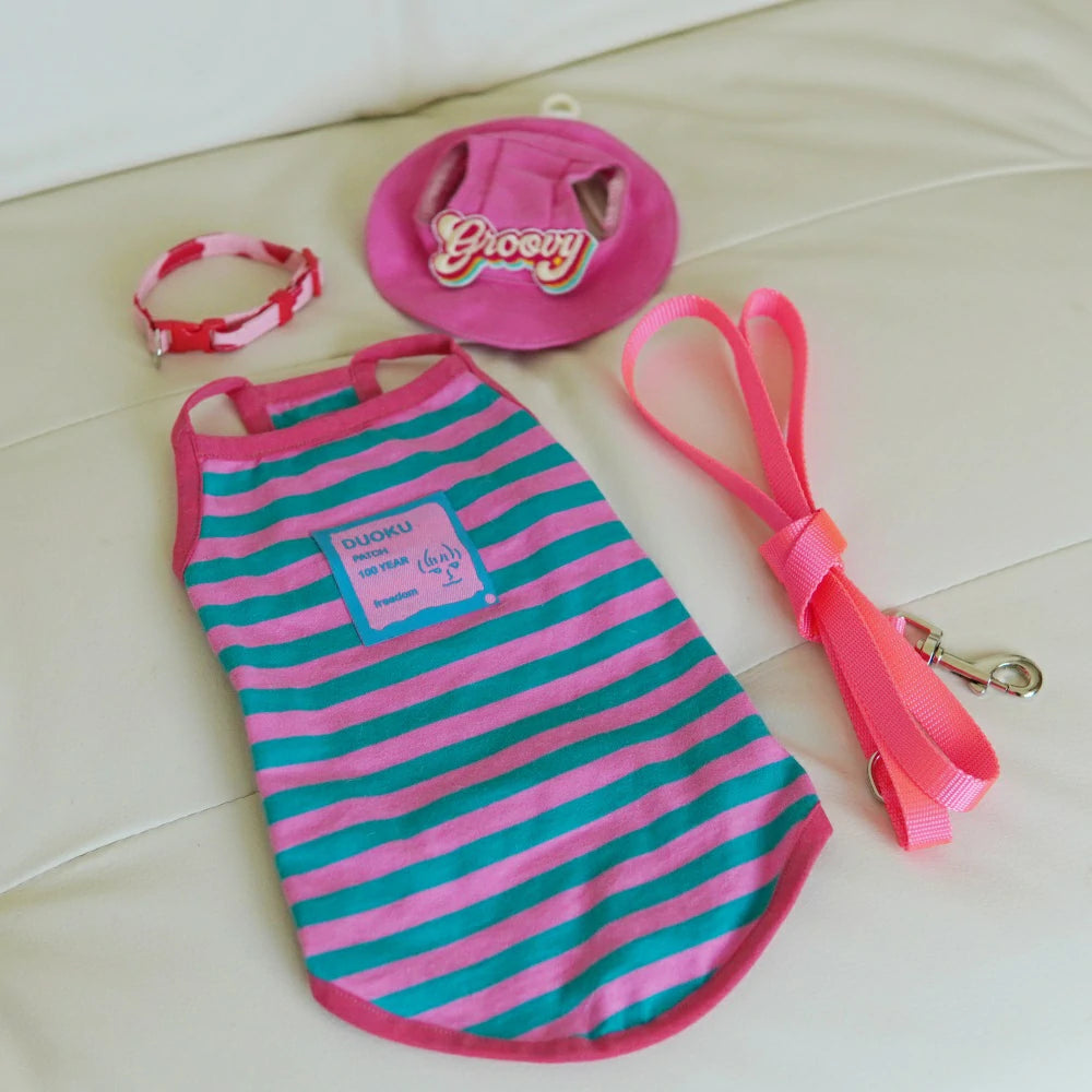 Cat Costume Blue and Pink Striped Vest Leash Set Includes Hat