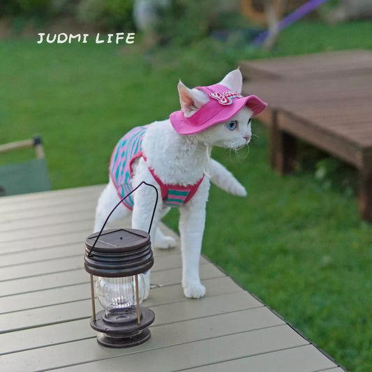 Cat Costume Blue and Pink Striped Vest Leash Set Includes Hat