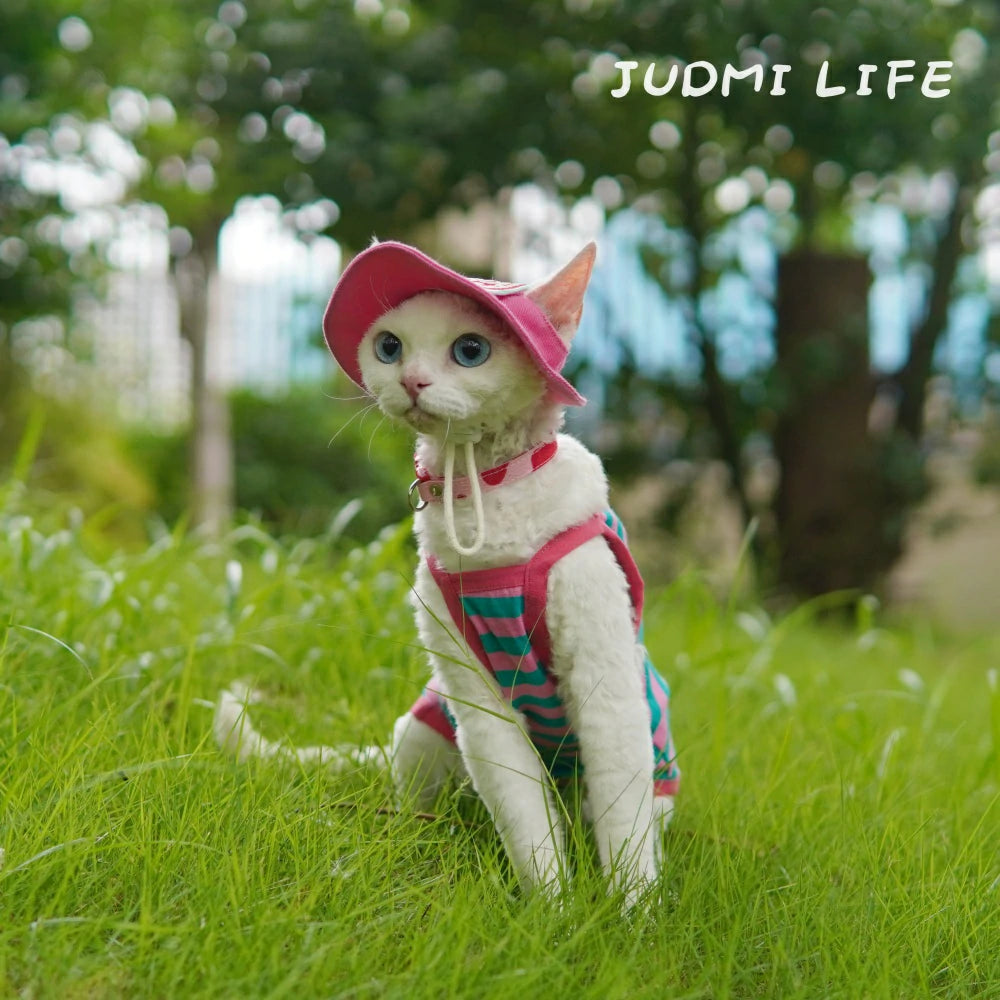 Cat Costume Blue and Pink Striped Vest Leash Set Includes Hat