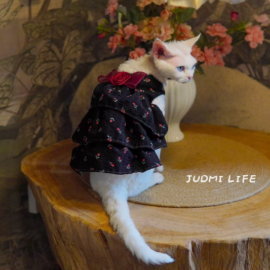 Cats Lolita Princess Lace Dresses with Black Rose Costume