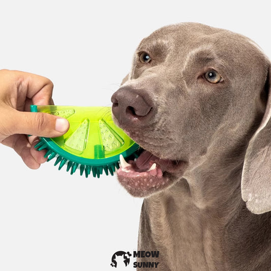 Dog Chew Toys for Aggressive Chewers