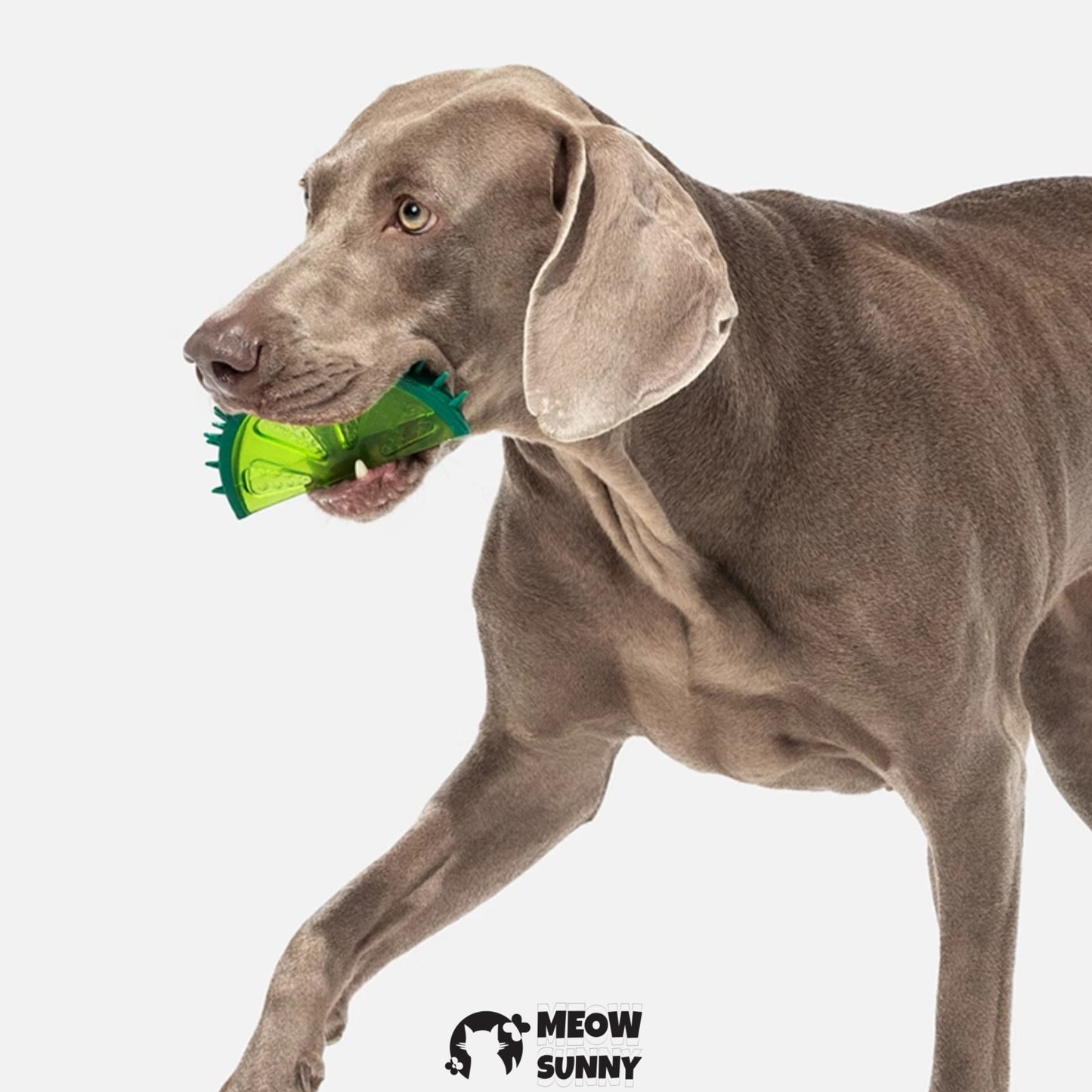 Dog Chew Toys for Aggressive Chewers
