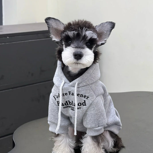 Dog Clothes Autumn and Winter Trendy Candy Color Cotton Sweatshirt