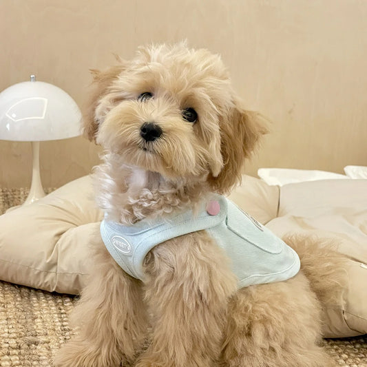 Dog Cooling Vest Harness, Small Dog Cooler Jacket