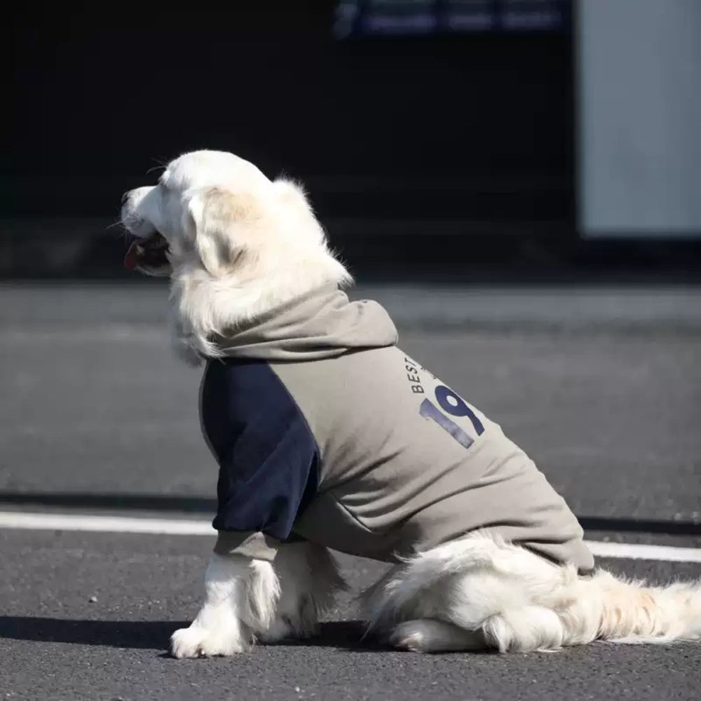 Dog Gray Blue Hoodie Pullover Stylish Apparel for Large Medium Dogs