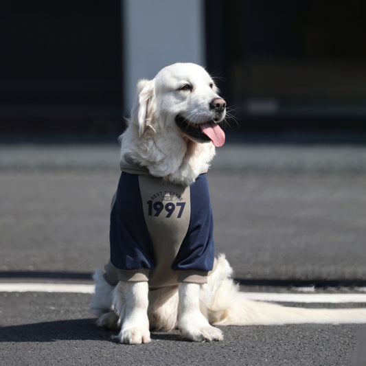 Dog Gray Blue Hoodie Pullover Stylish Apparel for Large Medium Dogs
