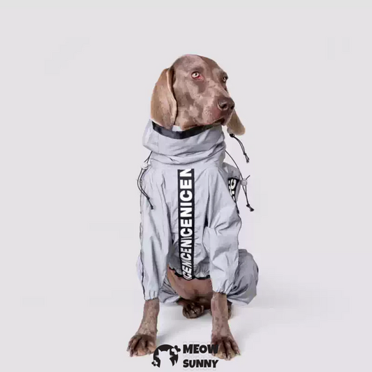 Dog Lightweight Windbreaker, Pet Outdoor Sports Jacket,Easy on