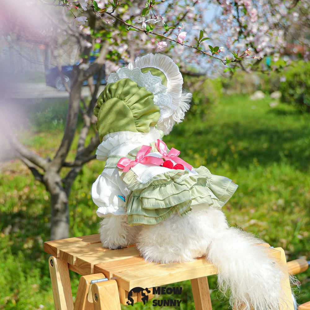 Dog Princess Dresses Cherry Costume Cute Lace Coat Floral Outfits