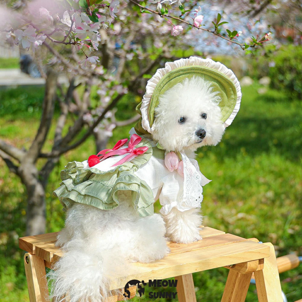 Dog Princess Dresses Cherry Costume Cute Lace Coat Floral Outfits