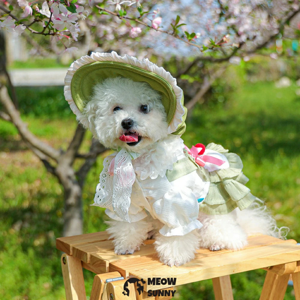 Dog Princess Dresses Cherry Costume Cute Lace Coat Floral Outfits