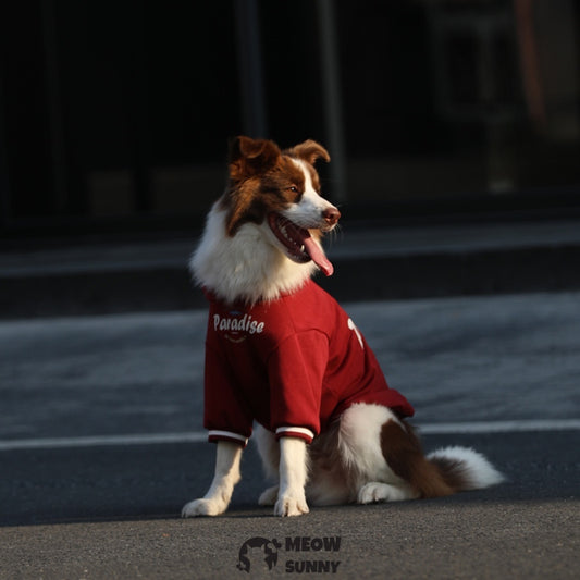 Dog Red Hoodie Pullover Stylish Apparel for Large Medium Dogs