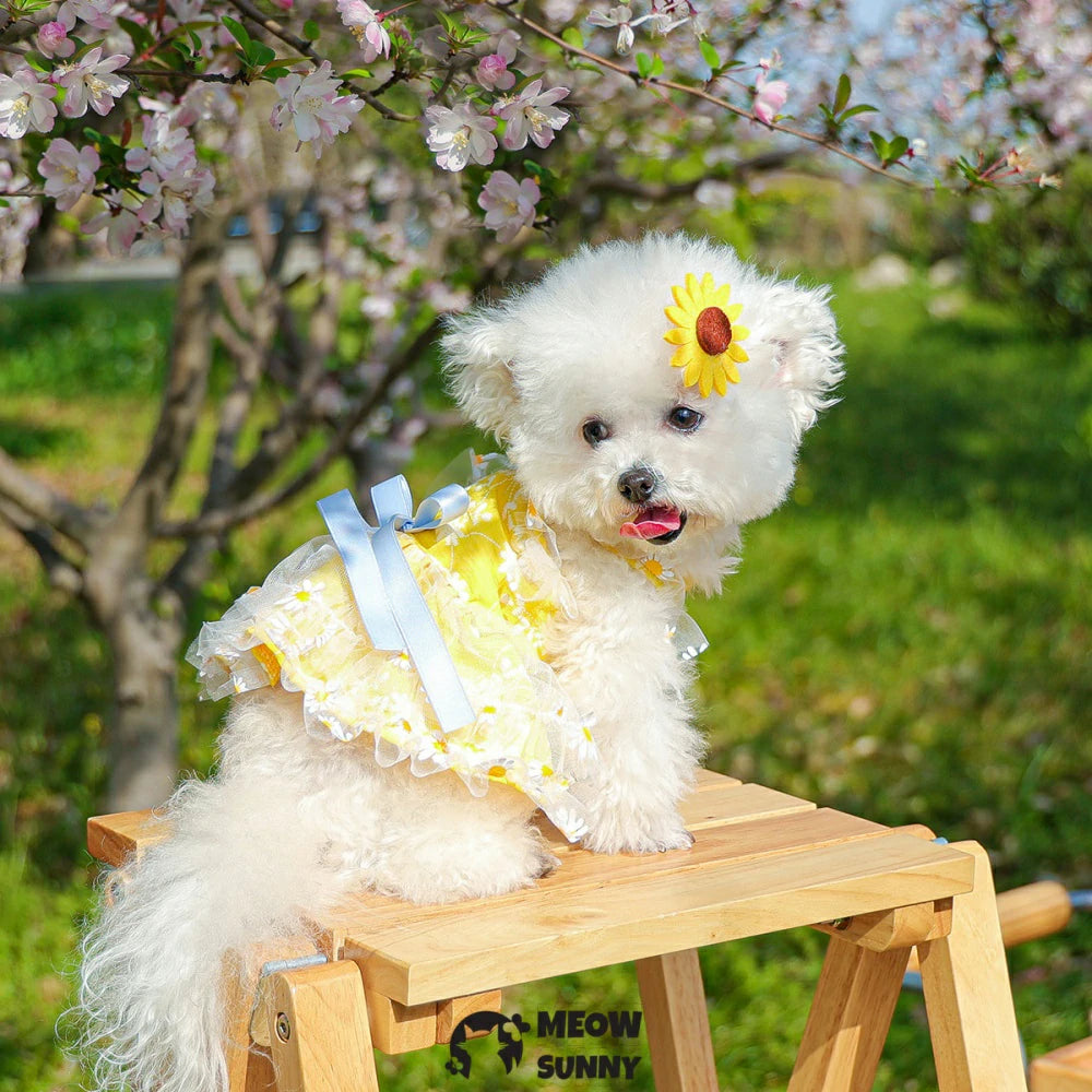 Dog Summer Thin Daisy Flower Cute Yellow Dress