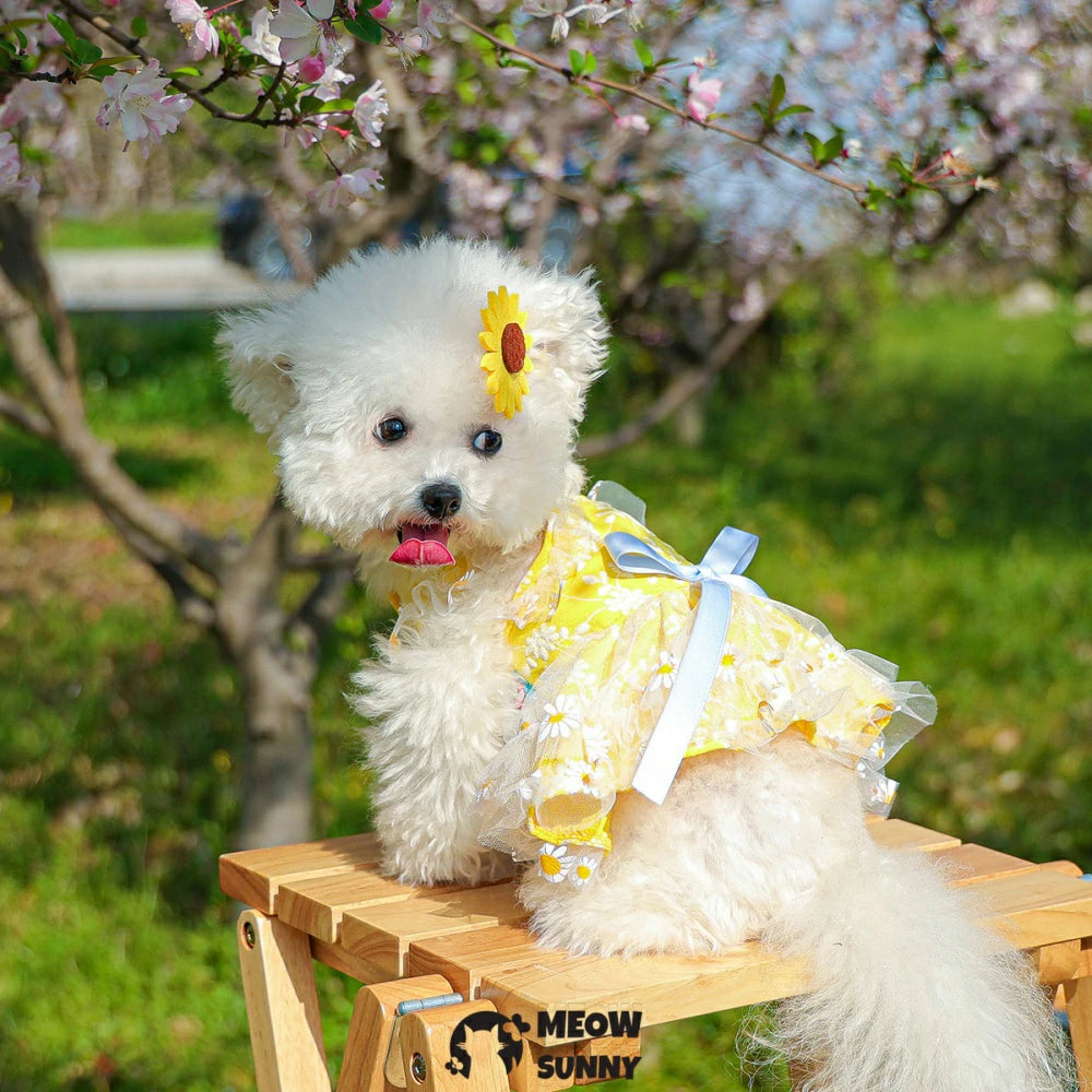 Dog Summer Thin Daisy Flower Cute Yellow Dress