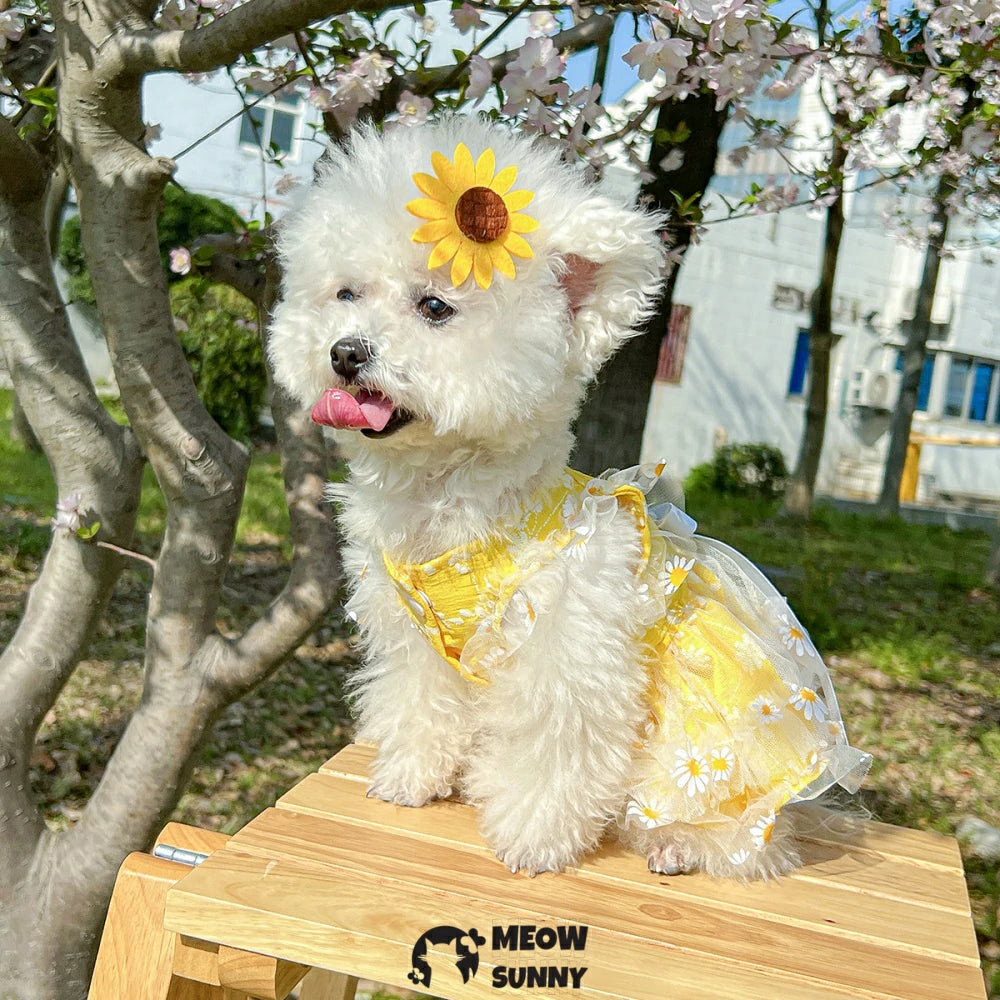 Dog Summer Thin Daisy Flower Cute Yellow Dress