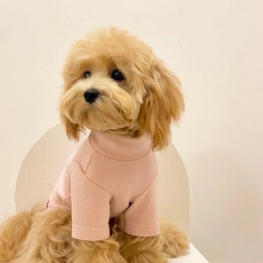 Dog clothes, thermal fleece, suitable for small dogs, can be worn as an inner layer or base layer.