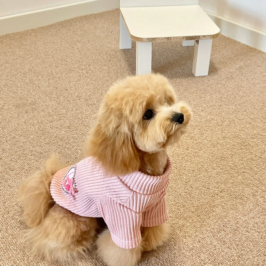 Dog clothes, warm sweaters for small dogs (suitable for autumn and winter).