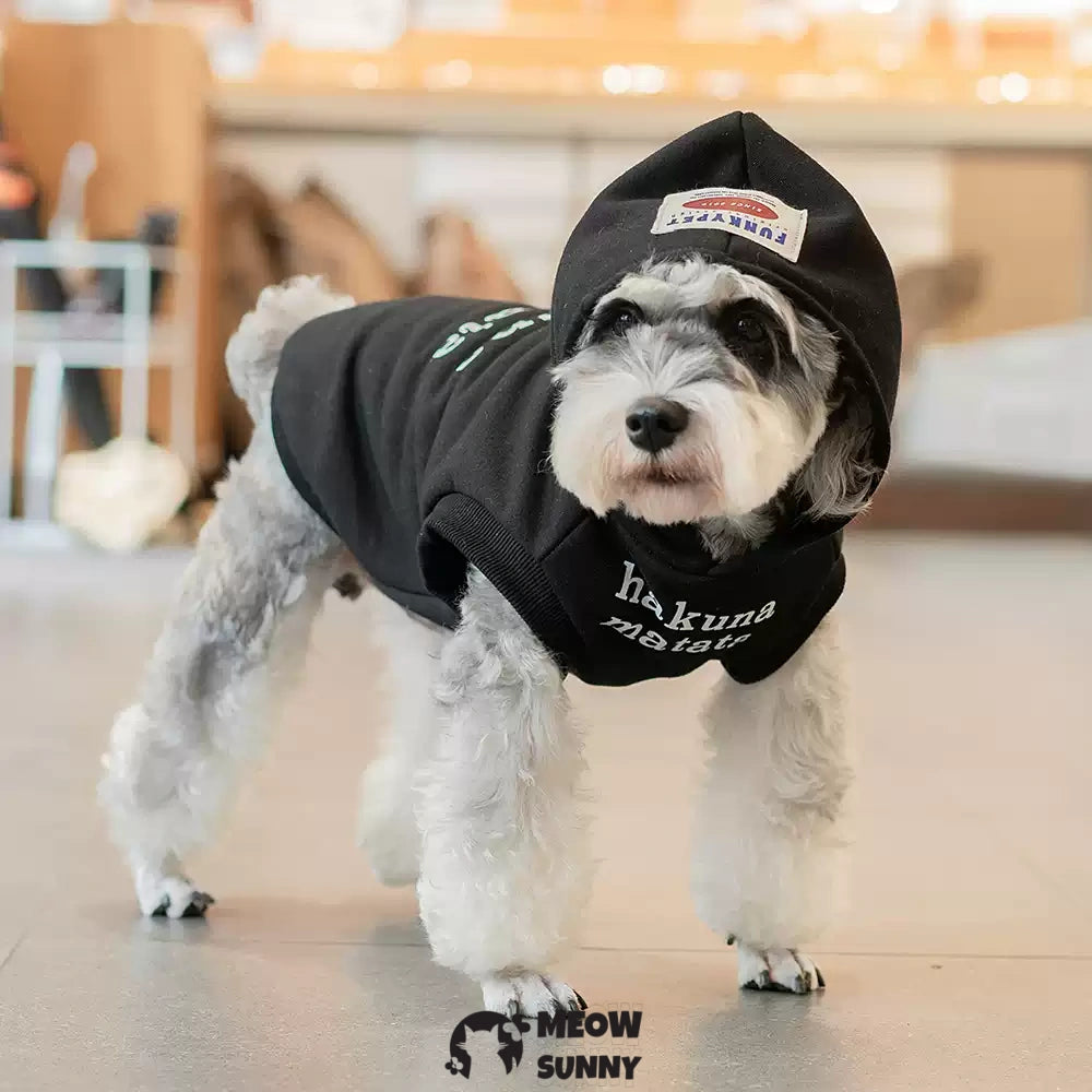 Dog soft breathable cotton popular autumn and winter warm hoodie