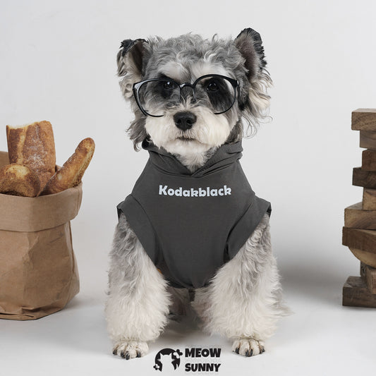 Dog soft breathable cotton popular autumn and winter warm hoodie