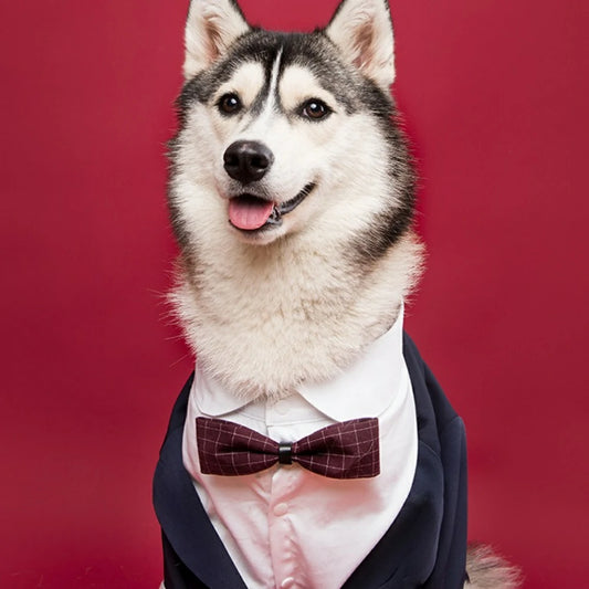 Dog suit wedding pet suit handsome clothes