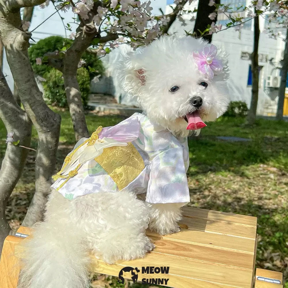 Dog summer thin daisy flower cute Japanese style kimono