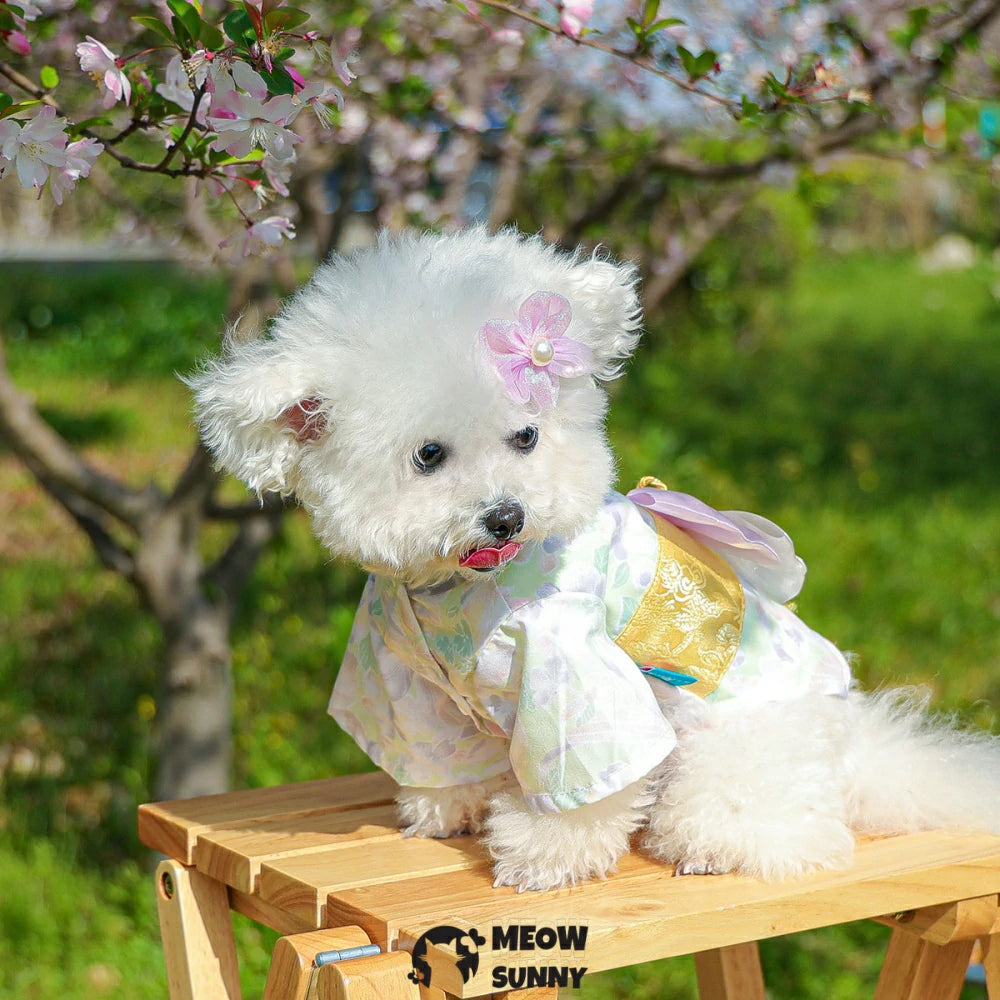 Dog summer thin daisy flower cute Japanese style kimono
