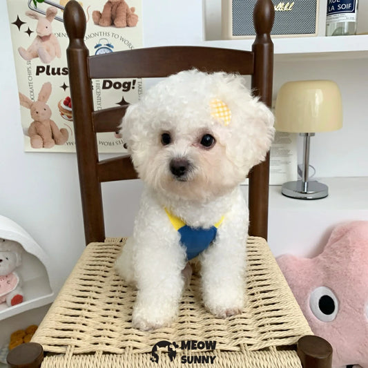 Dog vest style dog leash clothes chest back for walking