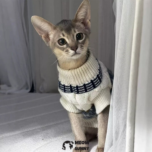 Fair Isle sweater, cat clothes, two-legged sweater