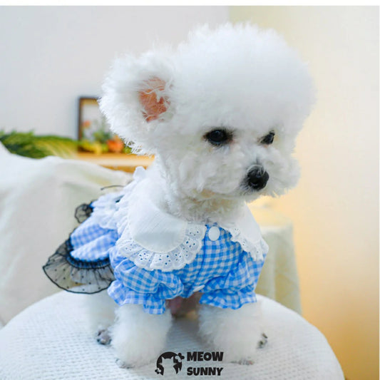 Fairytale Princess Dress Pet Dog Clothes Lolita Skirt
