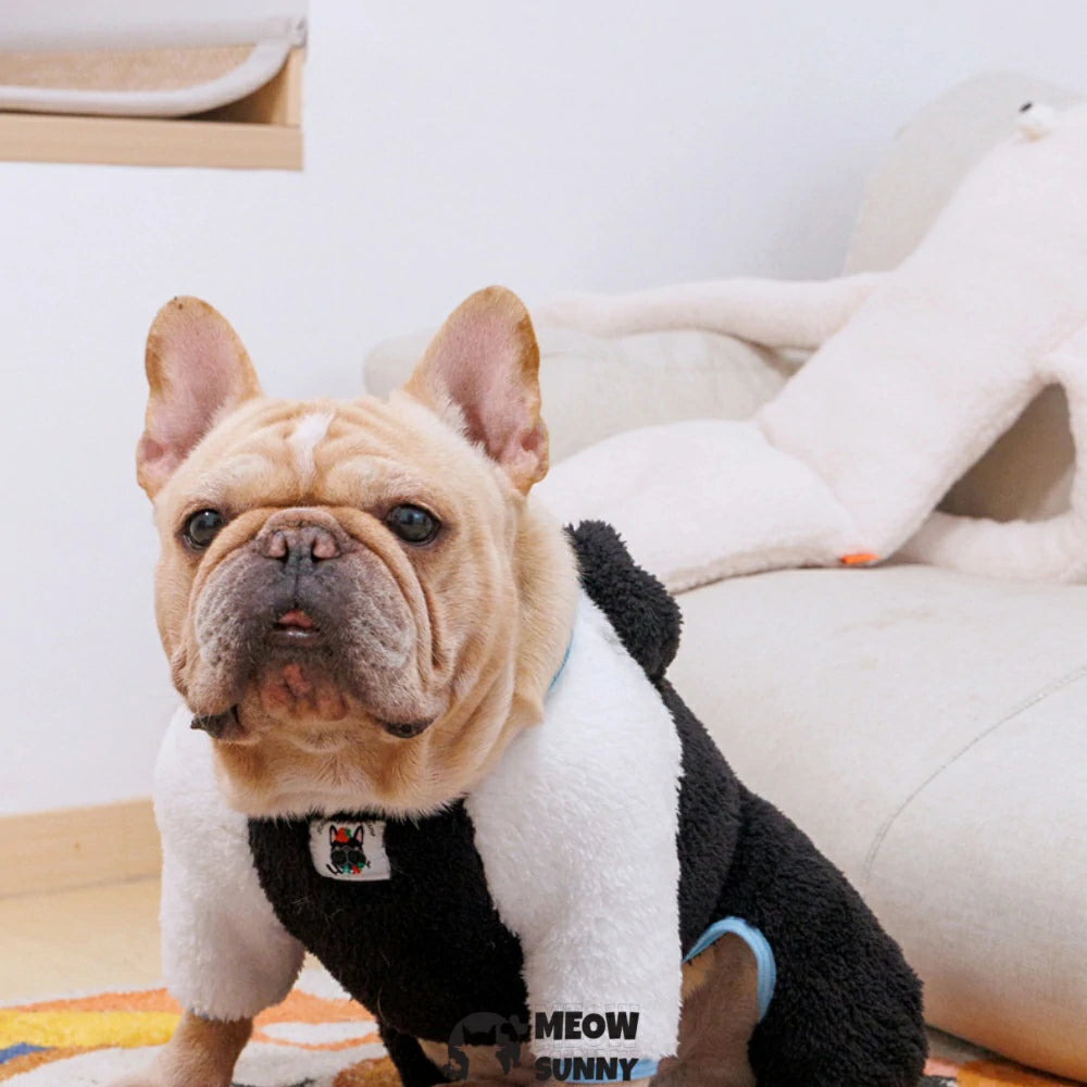 French Bulldog Winter Warm and Cute Bunny Outfit