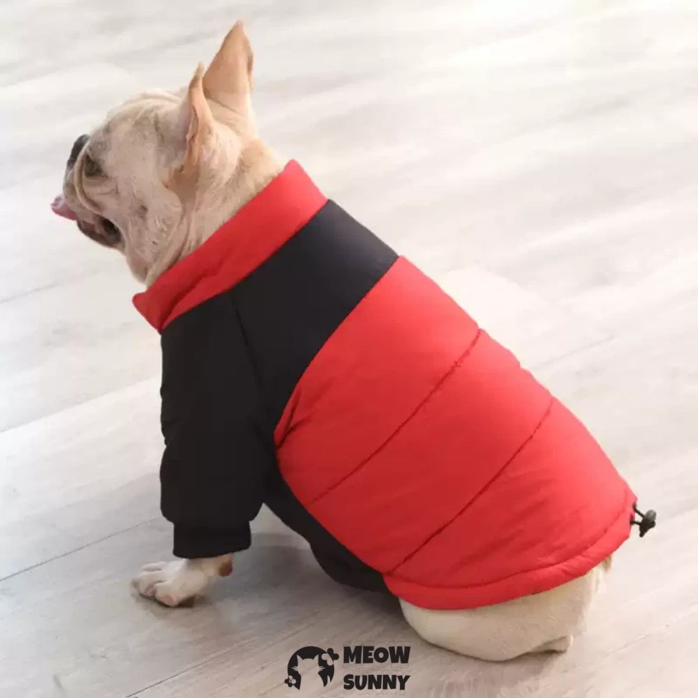 French Bulldog clothes for warmth in winter, down jacket for both paws