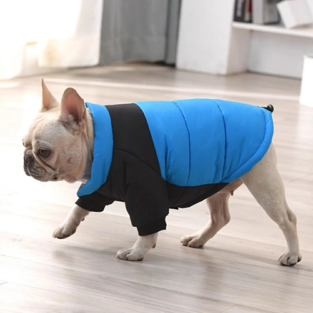 French Bulldog clothes for warmth in winter, down jacket for both paws