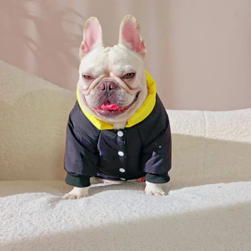 French Bulldog clothes for warmth in winter, down jacket for both paws