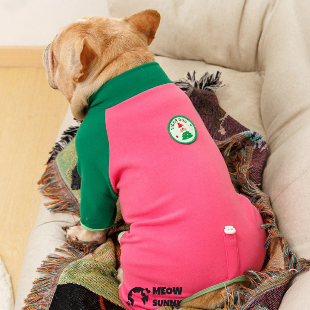 French Bulldog clothes with colorful patchwork on four paws