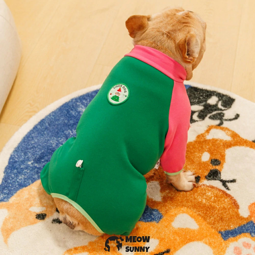 French Bulldog clothes with colorful patchwork on four paws