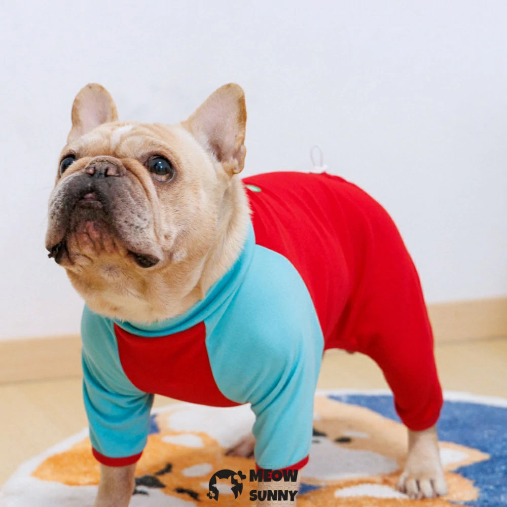 French Bulldog clothes with colorful patchwork on four paws